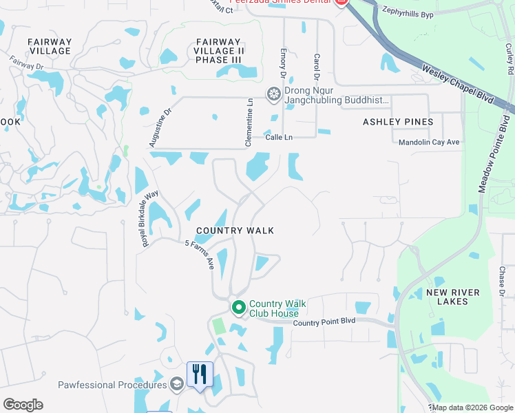 map of restaurants, bars, coffee shops, grocery stores, and more near 4832 Pointe O Woods Drive in Wesley Chapel
