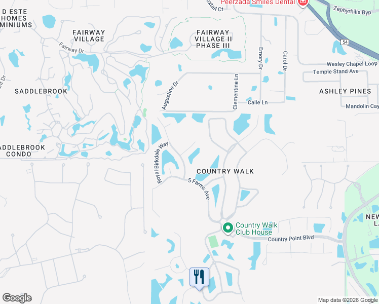 map of restaurants, bars, coffee shops, grocery stores, and more near 4812 Portmarnock Way in Wesley Chapel