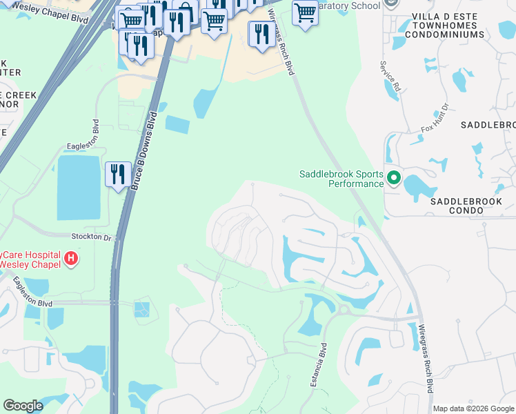map of restaurants, bars, coffee shops, grocery stores, and more near 4836 San Martino Dr in Wesley Chapel