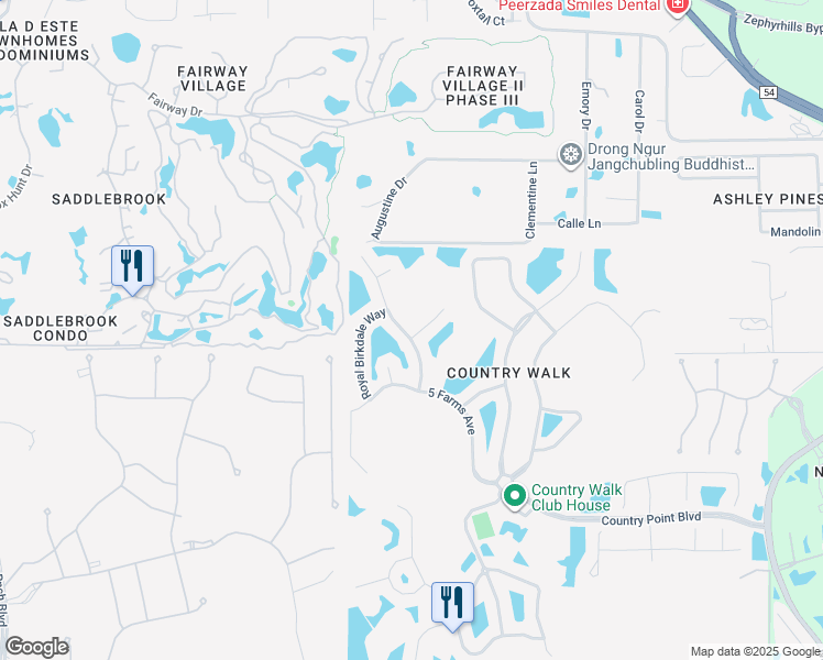 map of restaurants, bars, coffee shops, grocery stores, and more near 4754 Butler National Drive in Wesley Chapel
