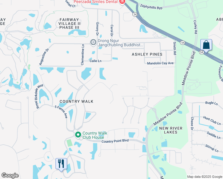 map of restaurants, bars, coffee shops, grocery stores, and more near 30635 Walker Cup Place in Wesley Chapel