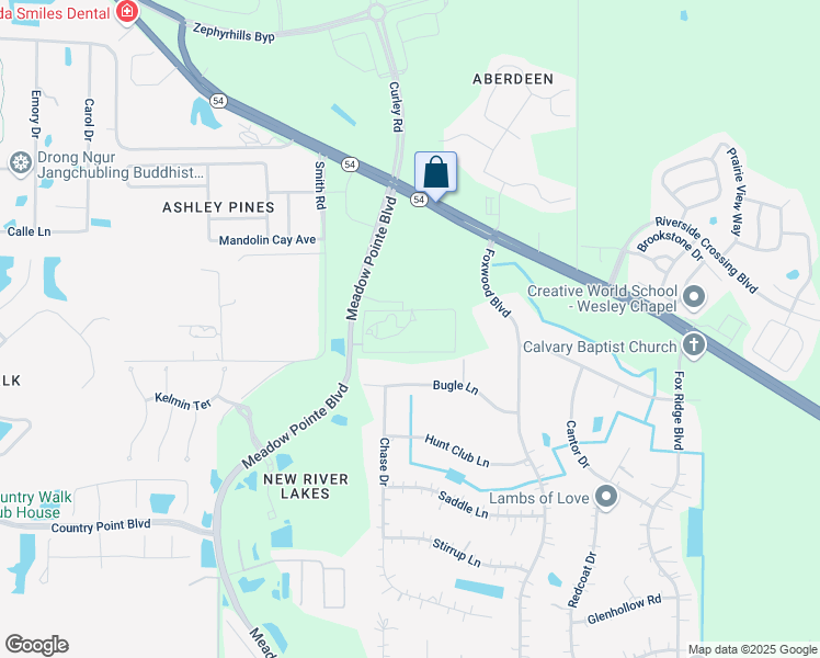 map of restaurants, bars, coffee shops, grocery stores, and more near 4727 Meadow Pointe Boulevard in Wesley Chapel