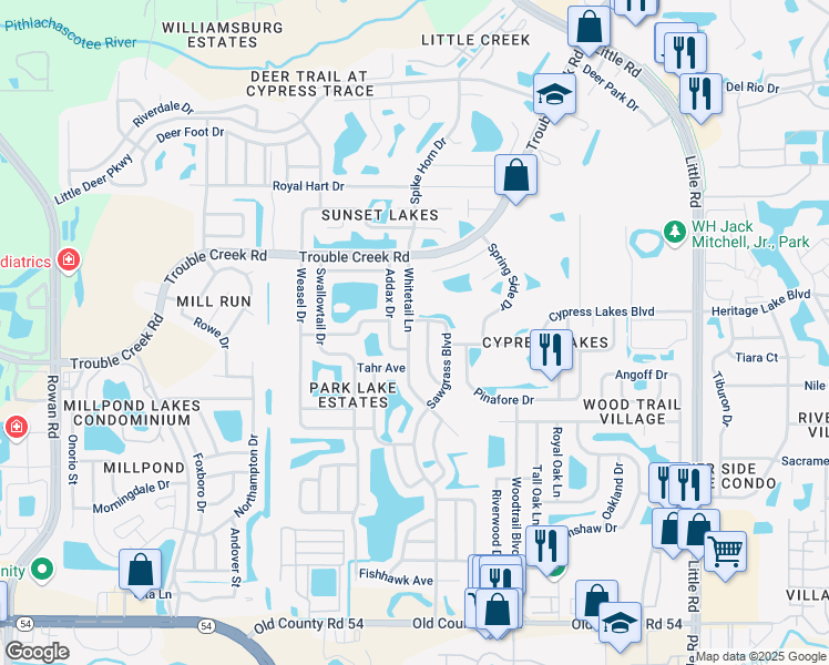 map of restaurants, bars, coffee shops, grocery stores, and more near 4644 Whitetail Lane in New Port Richey