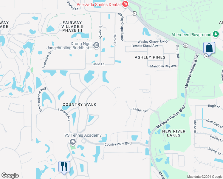 map of restaurants, bars, coffee shops, grocery stores, and more near 30635 Walker Cup Place in Wesley Chapel