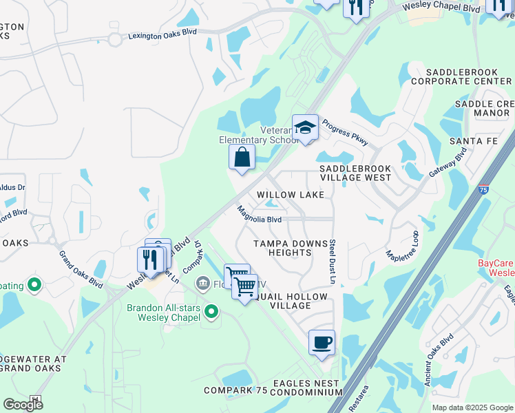 map of restaurants, bars, coffee shops, grocery stores, and more near 26620 Players Circle in Lutz
