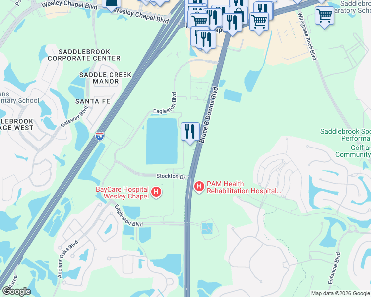 map of restaurants, bars, coffee shops, grocery stores, and more near 4873 Bruce B Downs Boulevard in Wesley Chapel
