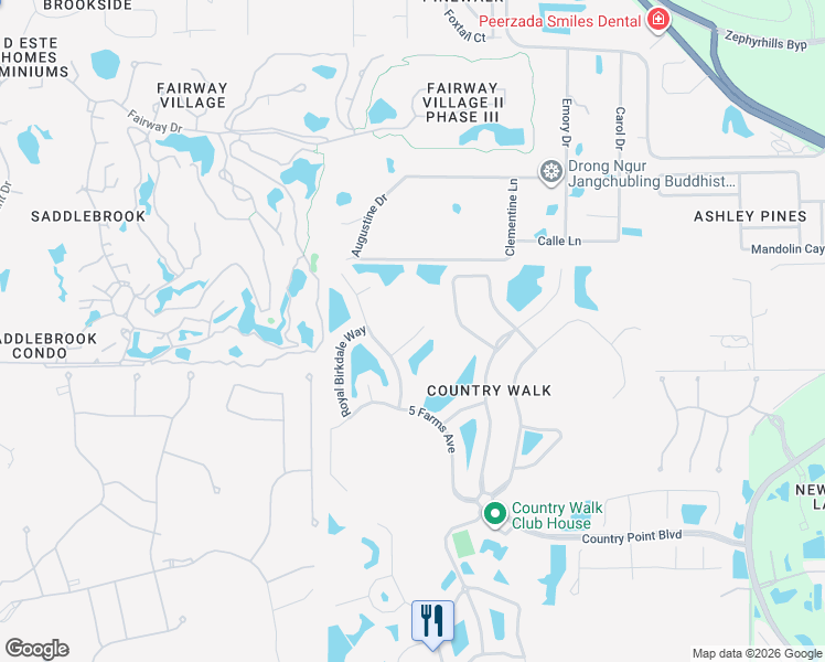 map of restaurants, bars, coffee shops, grocery stores, and more near 4823 Portmarnock Way in Wesley Chapel