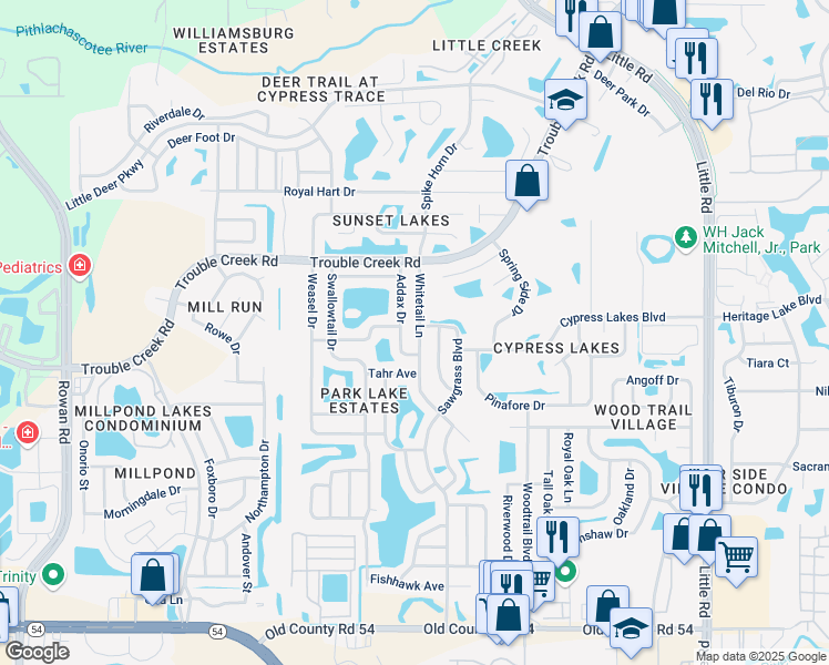 map of restaurants, bars, coffee shops, grocery stores, and more near 4644 Whitetail Lane in New Port Richey