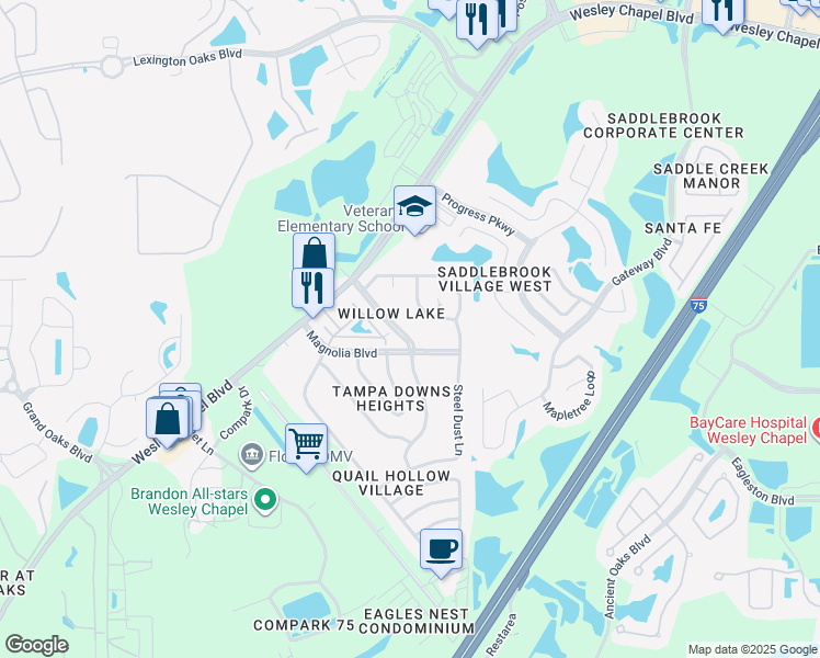 map of restaurants, bars, coffee shops, grocery stores, and more near 4828 Tampa Downs Boulevard in Lutz