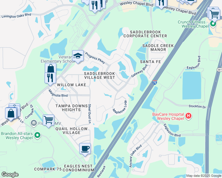 map of restaurants, bars, coffee shops, grocery stores, and more near 4816 Windingbrook Trail in Wesley Chapel