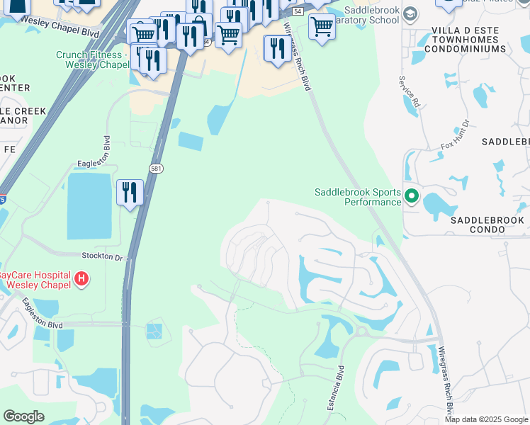 map of restaurants, bars, coffee shops, grocery stores, and more near 4860 San Martino Drive in Wesley Chapel
