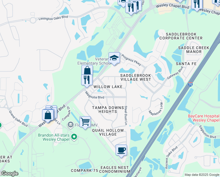 map of restaurants, bars, coffee shops, grocery stores, and more near 4828 Tampa Downs Boulevard in Lutz