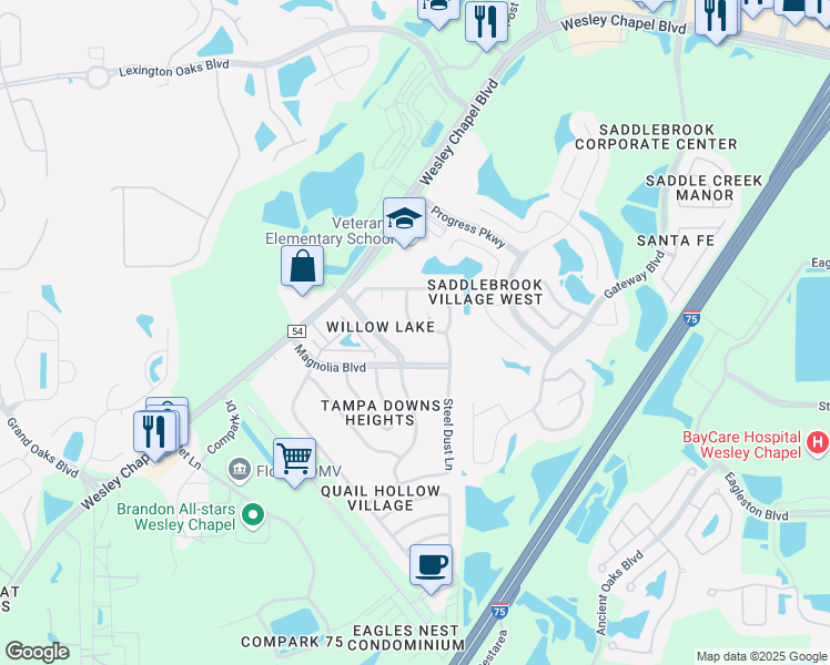 map of restaurants, bars, coffee shops, grocery stores, and more near 4839 Billy Direct Lane in Lutz