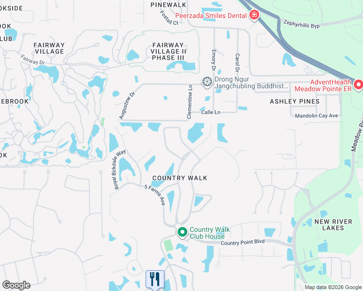 map of restaurants, bars, coffee shops, grocery stores, and more near 4950 Diamonds Palm Loop in Wesley Chapel