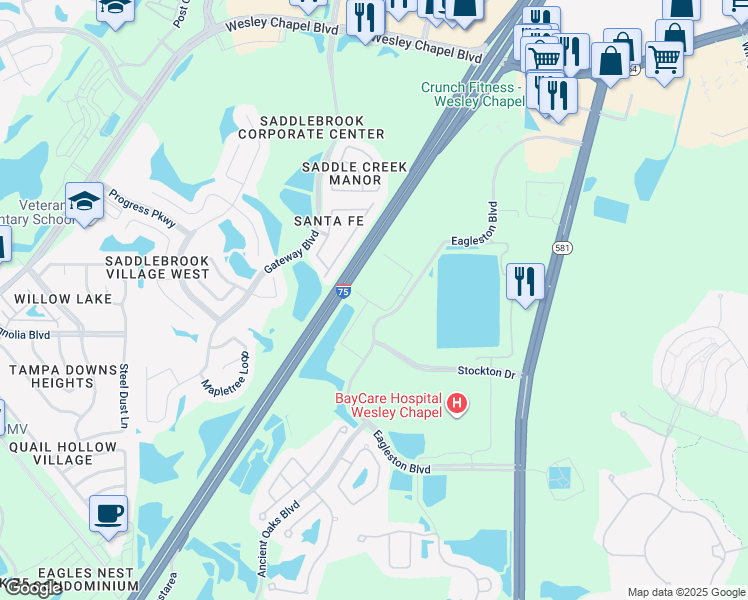 map of restaurants, bars, coffee shops, grocery stores, and more near 5300 Eagleston Boulevard in Wesley Chapel