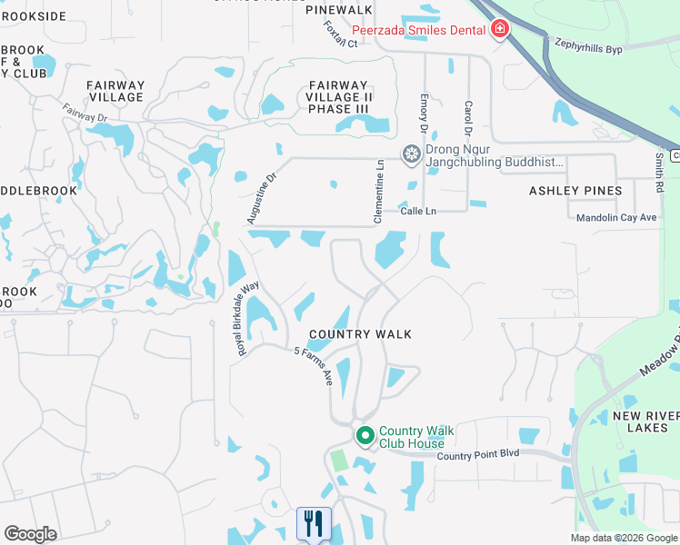 map of restaurants, bars, coffee shops, grocery stores, and more near 4818 Diamonds Palm Loop in Wesley Chapel