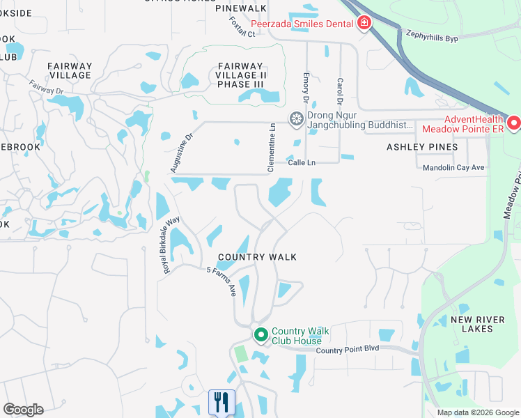 map of restaurants, bars, coffee shops, grocery stores, and more near 4950 Diamonds Palm Loop in Wesley Chapel