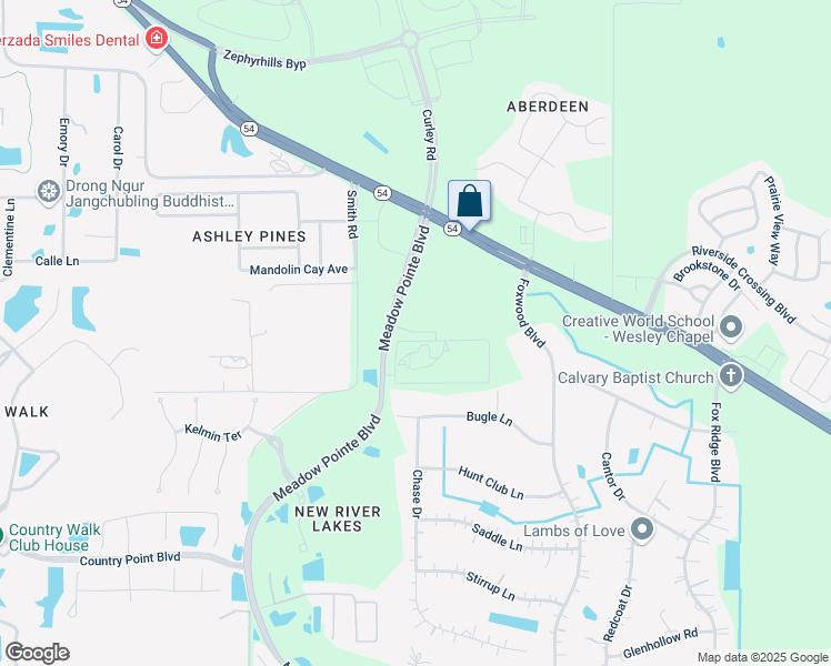 map of restaurants, bars, coffee shops, grocery stores, and more near 4727 Meadow Pointe Boulevard in Wesley Chapel