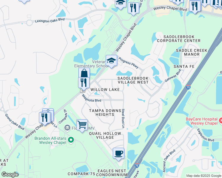 map of restaurants, bars, coffee shops, grocery stores, and more near 4923 Billy Direct Lane in Lutz
