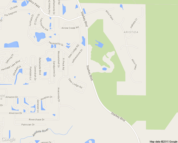 map of restaurants, bars, coffee shops, grocery stores, and more near Starkey Boulevard in New Port Richey