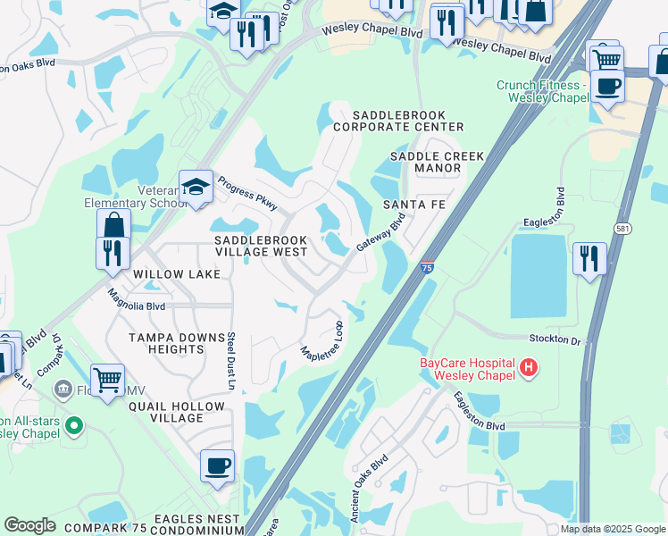map of restaurants, bars, coffee shops, grocery stores, and more near 4801 Pennecott Way in Wesley Chapel