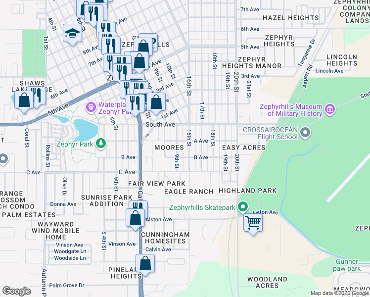 map of restaurants, bars, coffee shops, grocery stores, and more near 4853 16th Street in Zephyrhills