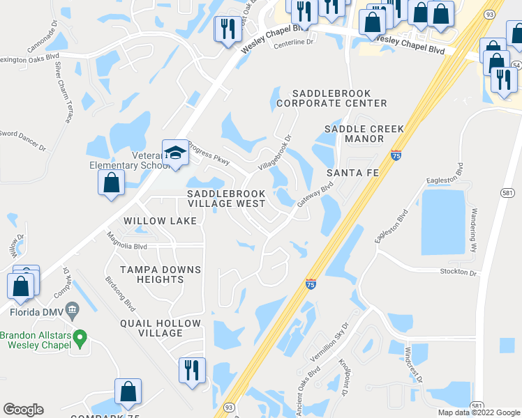 map of restaurants, bars, coffee shops, grocery stores, and more near 5100 Windingbrook Trail in Wesley Chapel