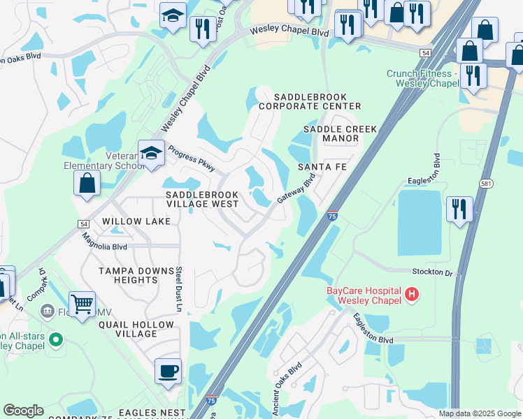 map of restaurants, bars, coffee shops, grocery stores, and more near 5135 Windingbrook Trail in Wesley Chapel