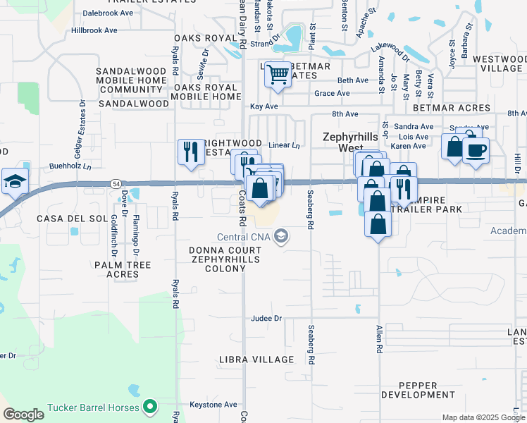 map of restaurants, bars, coffee shops, grocery stores, and more near 36538 Florida 54 in Zephyrhills