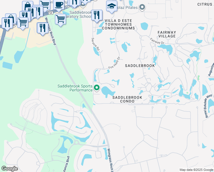 map of restaurants, bars, coffee shops, grocery stores, and more near 29200 Bay Hollow Drive in Zephyrhills