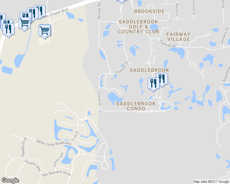 map of restaurants, bars, coffee shops, grocery stores, and more near 29230 Bay Hollow Drive in Zephyrhills