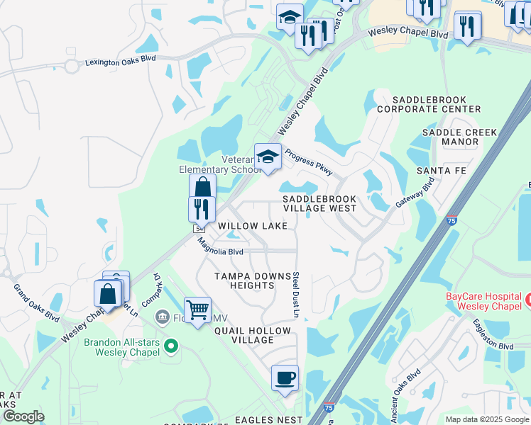 map of restaurants, bars, coffee shops, grocery stores, and more near 4923 Billy Direct Lane in Lutz