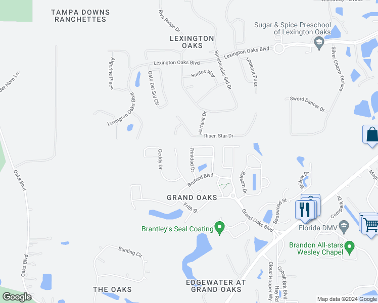 map of restaurants, bars, coffee shops, grocery stores, and more near 4952 Trinidad Drive in Pasco County