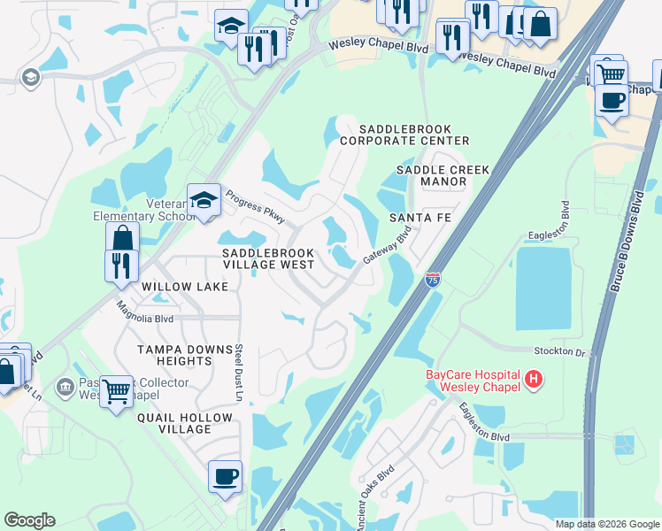 map of restaurants, bars, coffee shops, grocery stores, and more near 5107 Windingbrook Trail in Wesley Chapel