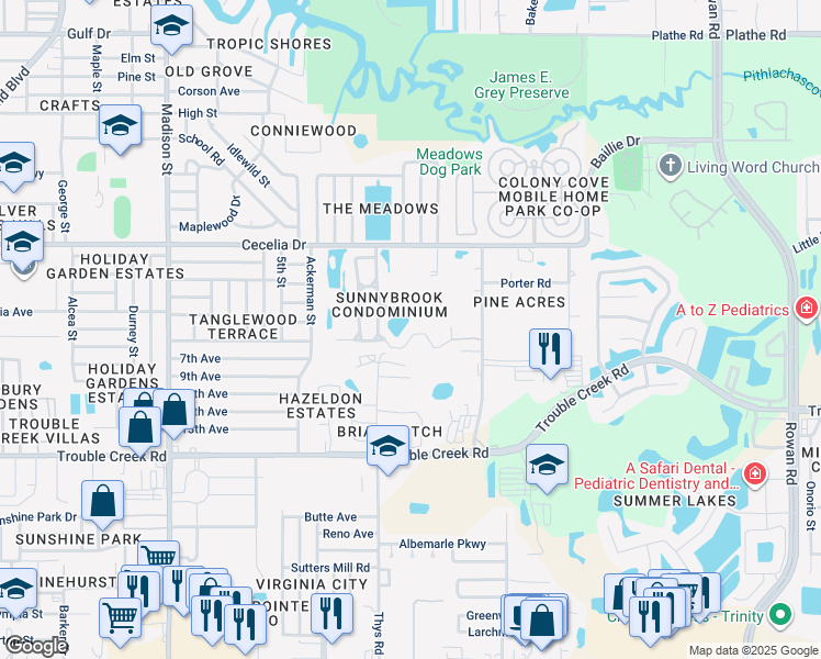 map of restaurants, bars, coffee shops, grocery stores, and more near 6532 Spring Flower Drive in New Port Richey