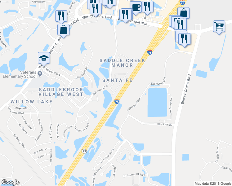 map of restaurants, bars, coffee shops, grocery stores, and more near 4922 Cactus Needle Lane in Wesley Chapel