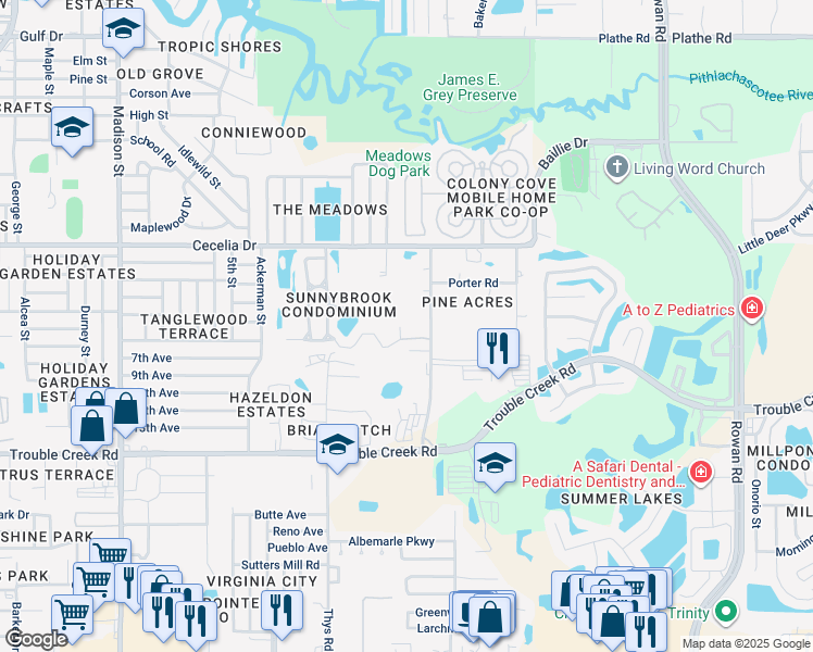 map of restaurants, bars, coffee shops, grocery stores, and more near 6635 Spring Flower Drive in New Port Richey