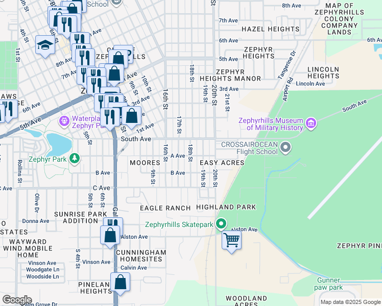 map of restaurants, bars, coffee shops, grocery stores, and more near 4901 19th Street in Zephyrhills