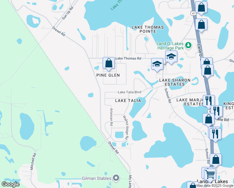 map of restaurants, bars, coffee shops, grocery stores, and more near 20848 Lake Talia Boulevard in Land O' Lakes