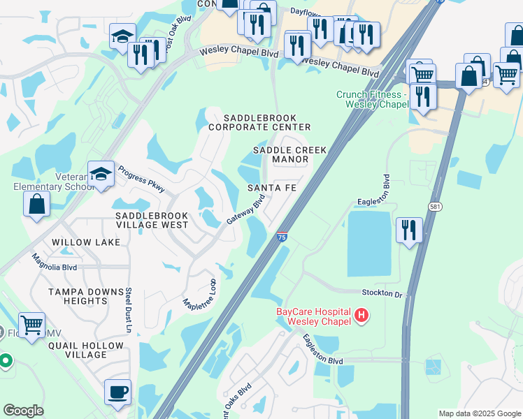 map of restaurants, bars, coffee shops, grocery stores, and more near 5005 Chipotle Lane in Wesley Chapel