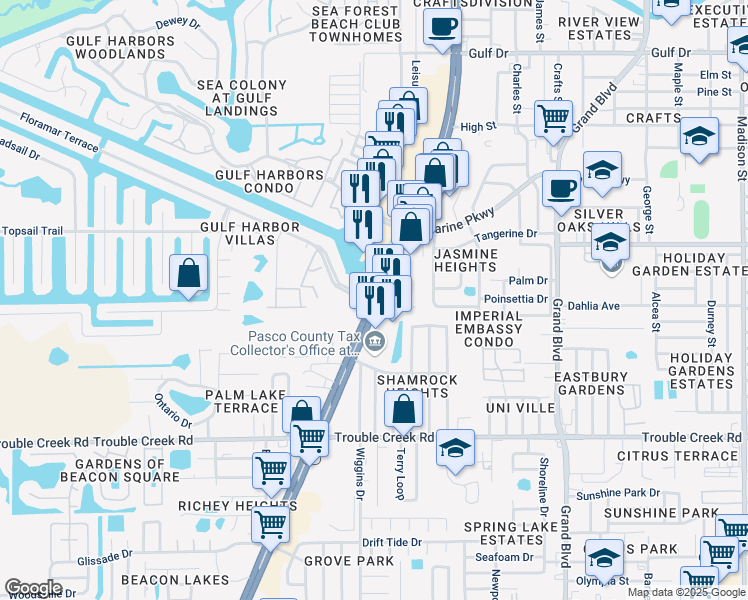 map of restaurants, bars, coffee shops, grocery stores, and more near U.S. 19 & Floramar Terrace in New Port Richey
