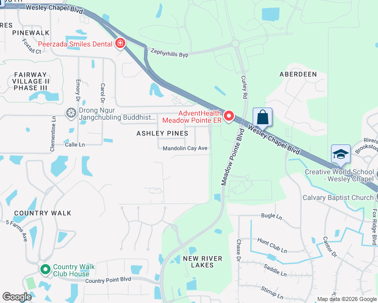 map of restaurants, bars, coffee shops, grocery stores, and more near 31118 Mandolin Cay Avenue in Wesley Chapel