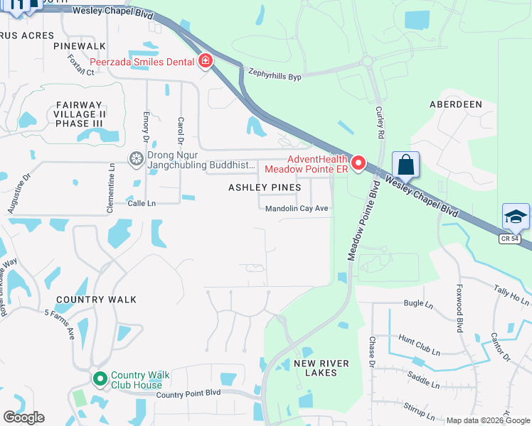 map of restaurants, bars, coffee shops, grocery stores, and more near 31009 Mandolin Cay Avenue in Wesley Chapel