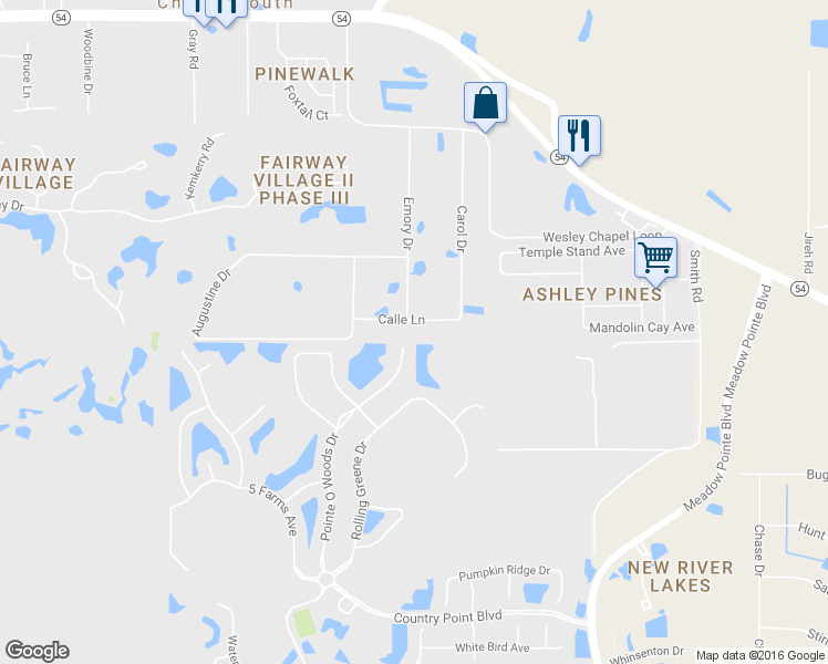 map of restaurants, bars, coffee shops, grocery stores, and more near 30544 Calle Lane in Zephyrhills