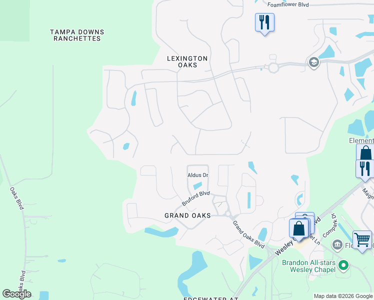 map of restaurants, bars, coffee shops, grocery stores, and more near 25639 Risen Star Drive in Wesley Chapel