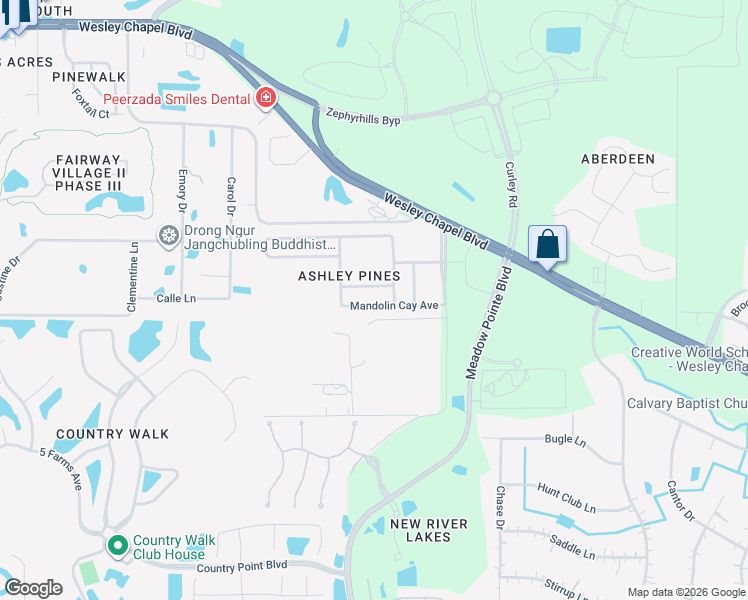 map of restaurants, bars, coffee shops, grocery stores, and more near 31033 Mandolin Cay Avenue in Wesley Chapel