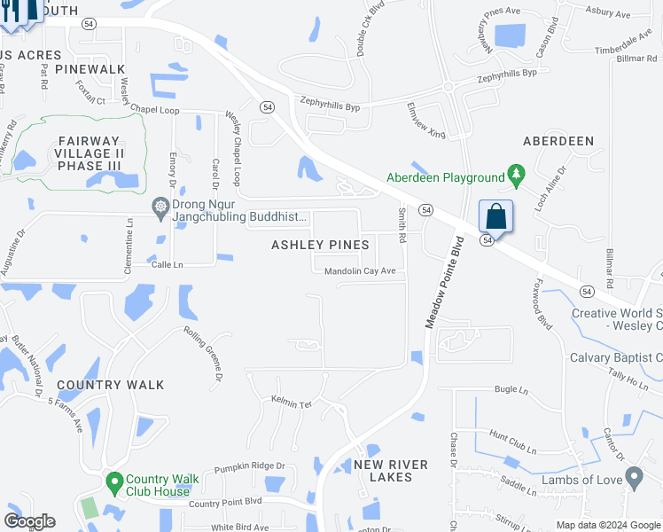 map of restaurants, bars, coffee shops, grocery stores, and more near 31015 Mandolin Cay Avenue in Wesley Chapel