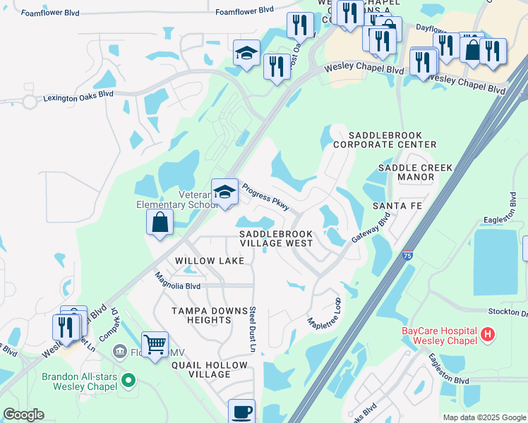 map of restaurants, bars, coffee shops, grocery stores, and more near 27026 Arrowbrook Way in Wesley Chapel