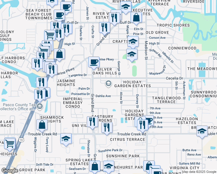 map of restaurants, bars, coffee shops, grocery stores, and more near 5642 Cecelia Drive in New Port Richey