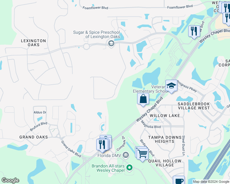 map of restaurants, bars, coffee shops, grocery stores, and more near 5115 Silver Charm Terrace in Wesley Chapel